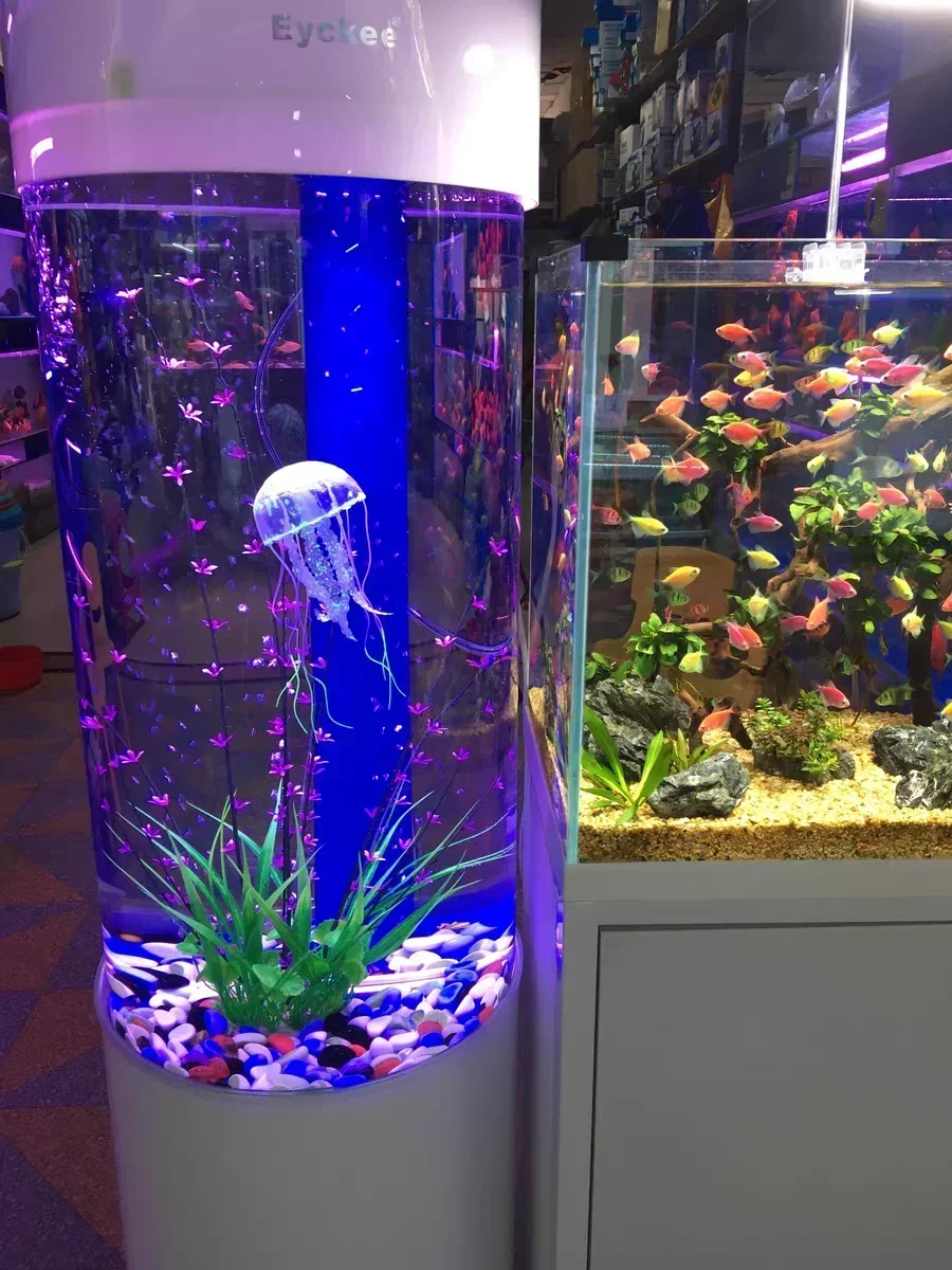 Aquarium Kleiner Kampffisch Ökologischer kreativer Tank Zylinder Acryl Goldfisch Tank Mittelgroß