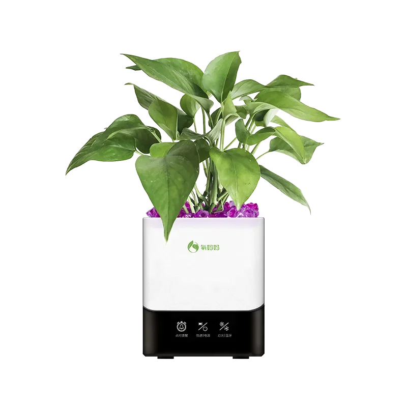 SOL Mini Natural Plant Music Player Smart Speaker Indoor Herb Garden Ecological Self-Watering Flower Pots Planter