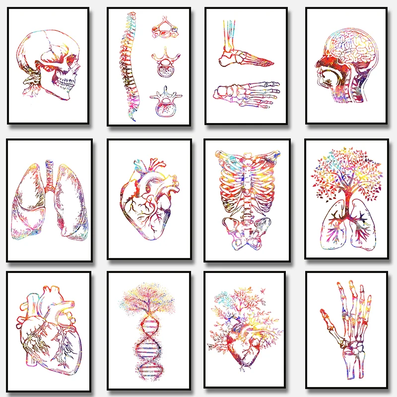 الاسكندنافية بسيطة جدار الفن تشريح الإنسان العمود الفقري القلب الدماغ الهيكل العظمي HD قماش المشارك طباعة غرفة نوم المنزل غرفة المعيشة الديكور #1