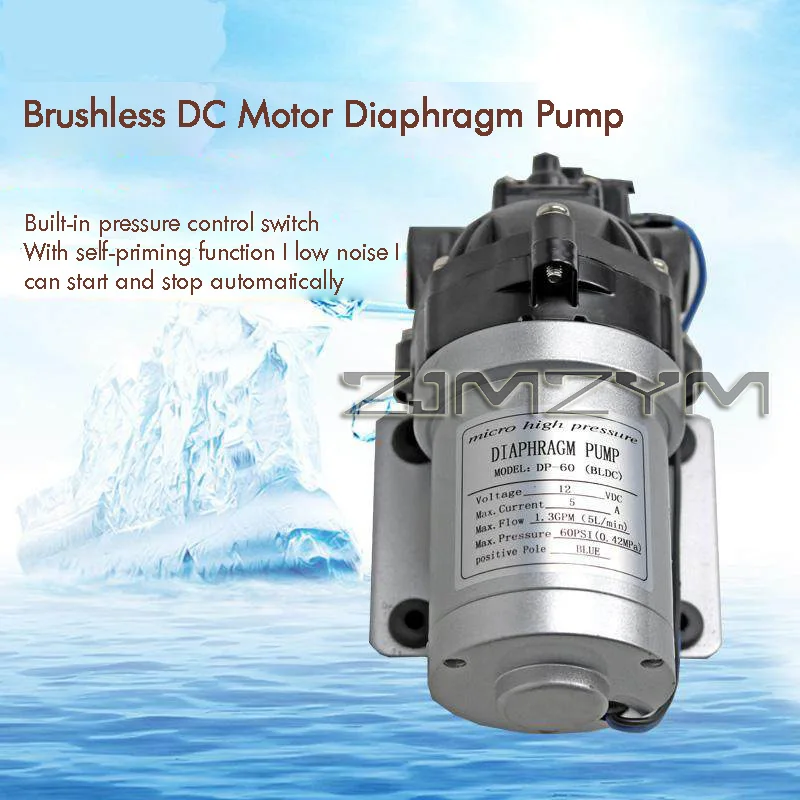 

12V/24V Miniature Brushless Diaphragm Pump DP-60 for Water Purifier And Roller - Spray Motor Compact Pneumatic Pump