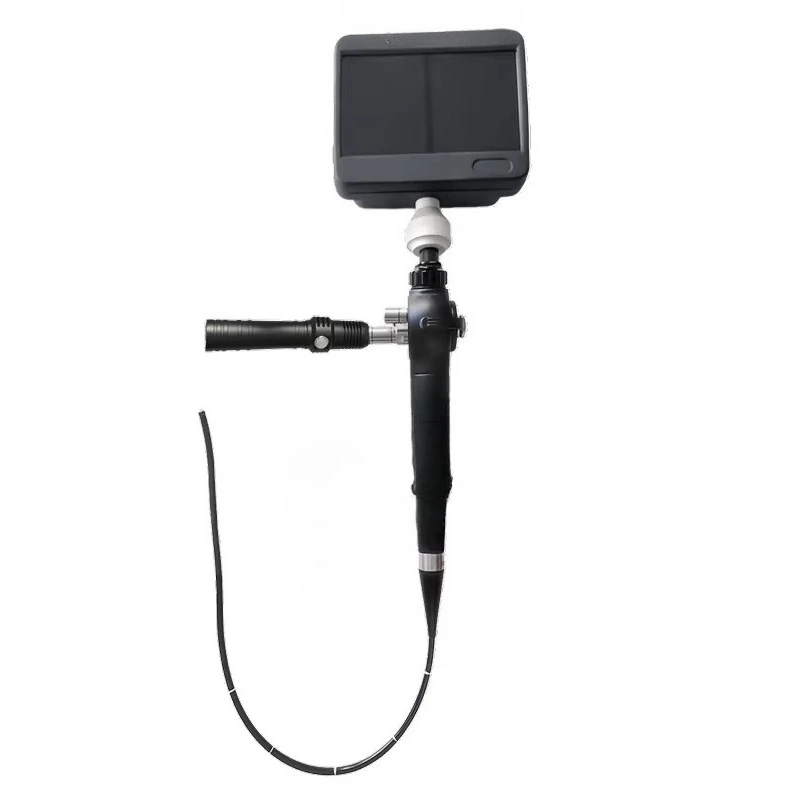 Reusable flexible endoscopes for veterinary reproductive and gynecological examinations