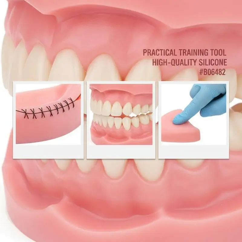 4pcs/set Surgical Practice Suture Teaching Tool Dental Oral/Gingival Suture Module Periodontitis Suture Silicone Training Model