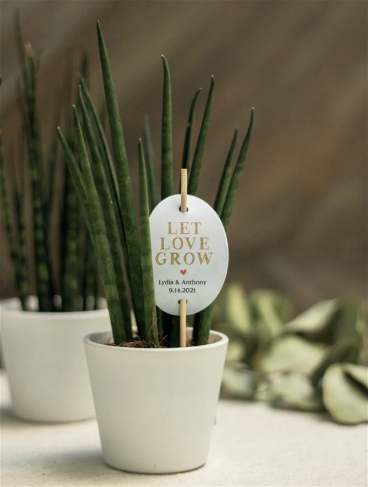 50pcs LET LOVE GROW! Personalized sign for plant favors