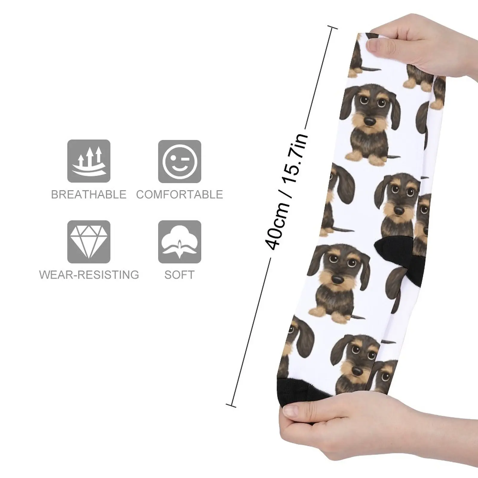 WirehaHbf-Chaussettes à poils métalliques pour hommes et femmes, jolies chaussettes de compétitivité avec patch sanglier et beige, chien Wiener,