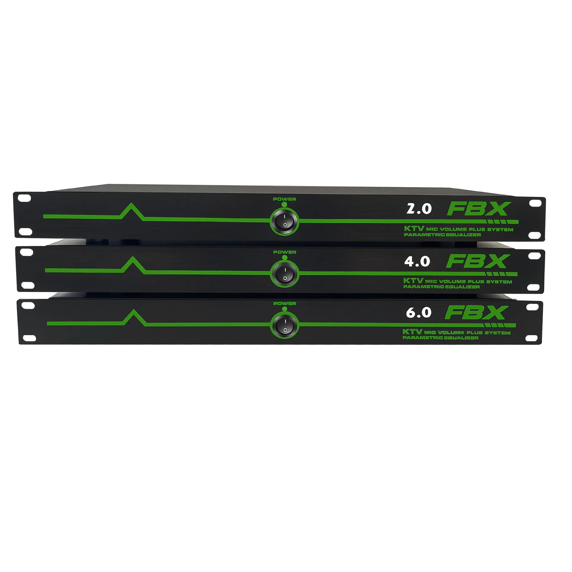 Professional audio system, digital signal speaker processor, feedback suppressor
