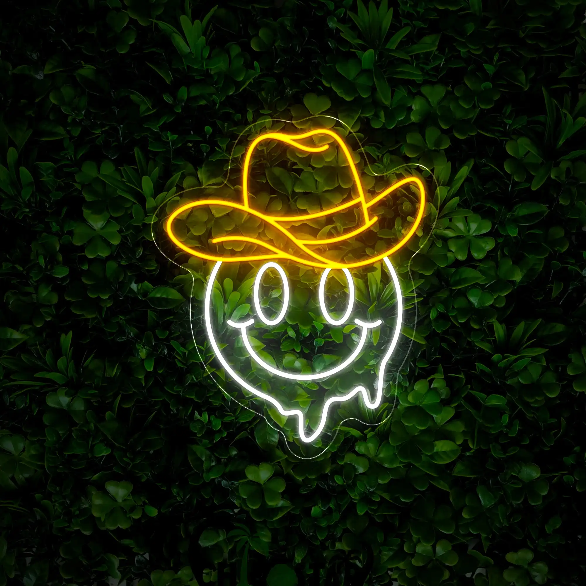 

Cowboy Face Neon Sign Game Room USB Powered Anime Cowboy Home Decor Bar Club Birthday Gift Game Room Wall Art Decor