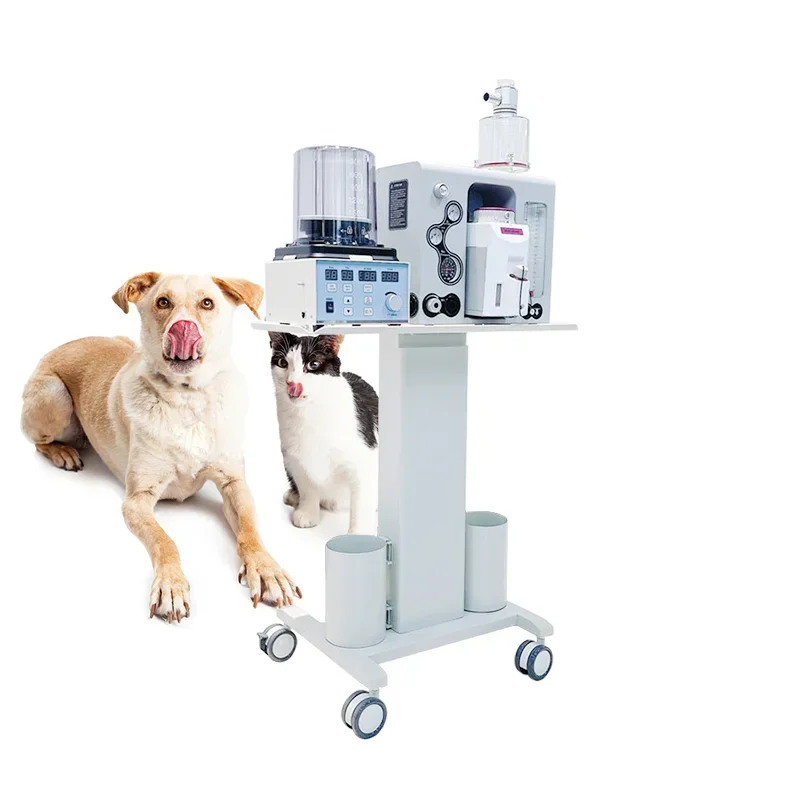 

Anaesthesia Machine Portable Maquina De Anestesia Hospital Anasthesia Machine for Veterinary Anestesia