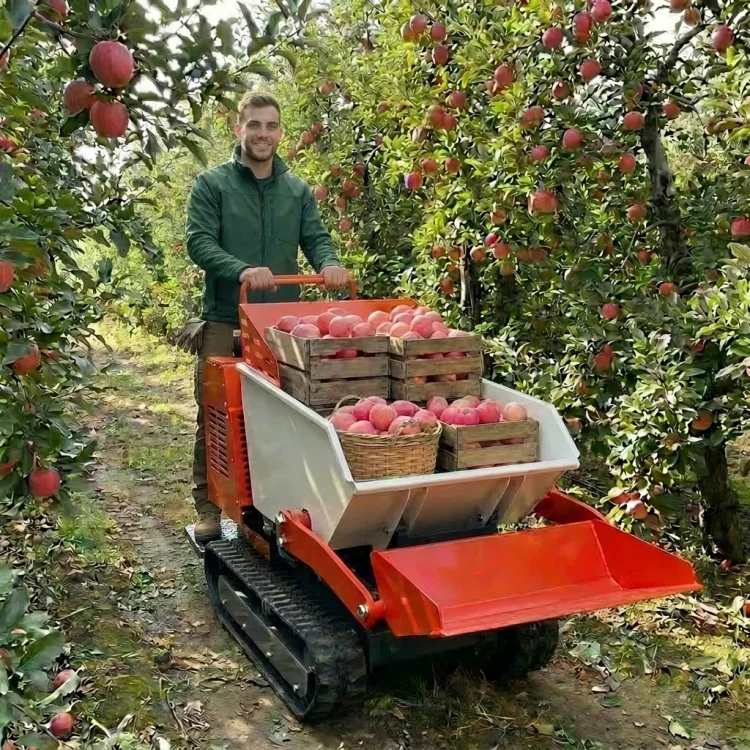 Latest Type Smooth forward reverse Orchard use tracked mini dumper kubota site dumper truck dumper mini dumper diesel
