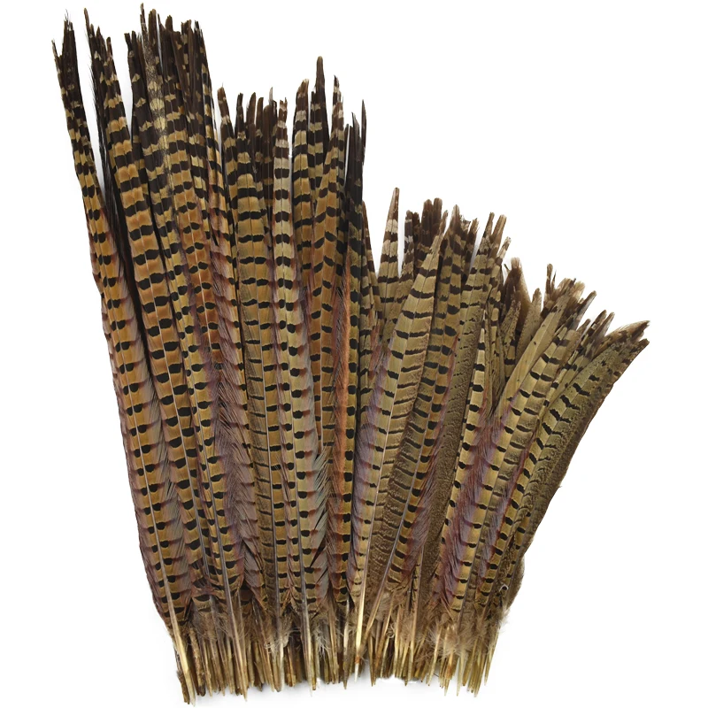 Natural Ringneck Pheasant Feathers for Crafts on The Head Long Large Decorative Feather Tail Party Festival Carnival Accessories