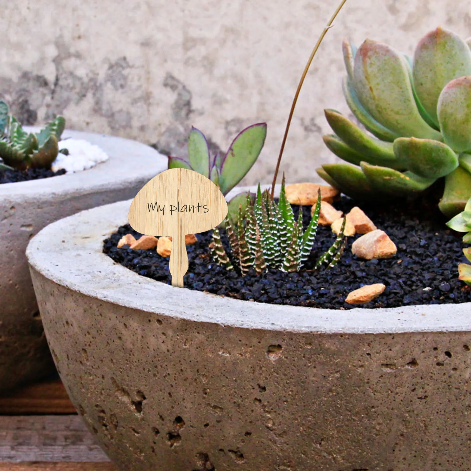 

30pcs Bamboo Plant Labels Reusable H written DIY Gardening Signs Markers Flower Plants Eco Friendly Stylish Practical Durable