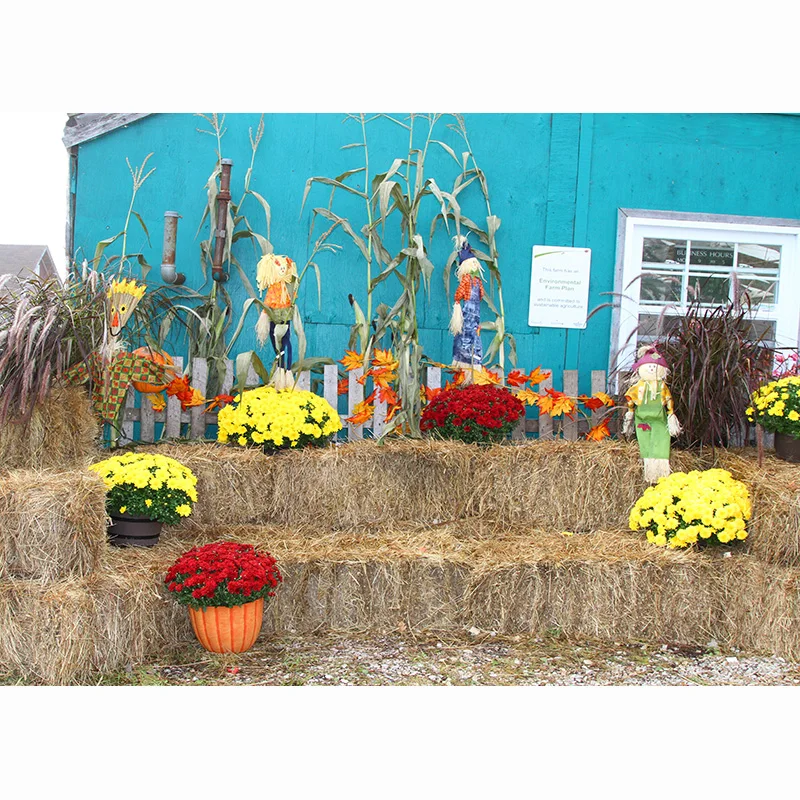 Lễ Phục Sinh Phông Nền Chụp Ảnh Hoa Mùa Xuân Thỏ Trứng Cho Bé Chân Dung Ảnh Nền Ảnh Phòng Thu 210403MXR-01