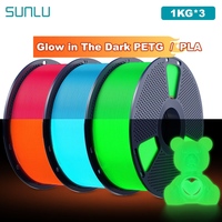 SUNLU 3KG Glow in The Dark PETG/PLA Filament Neatly Wound Luminous Filament 1.75mm +/- 0.02mm 1KG Filament Fit Most FDM 3D Print