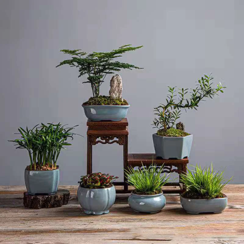 

China Yixing Flower Pots Ceramic Alabaster Mini Flower Pots Ge Kiln Celadon Home Decoration Vase Desktop Green Plant Pots