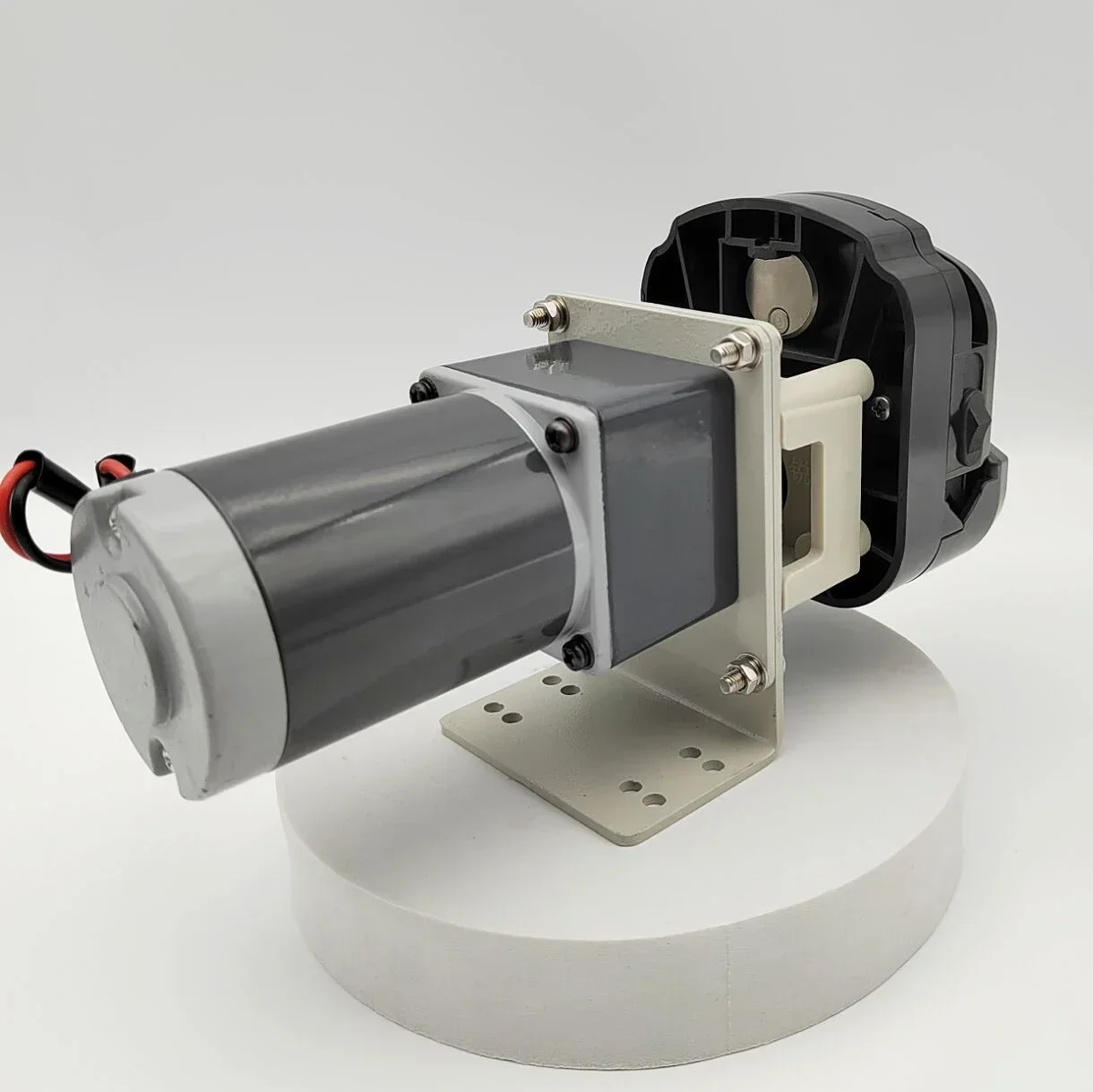 China 12V CR Peristaltic Pump Chlorine Dosing Liquid Transfer