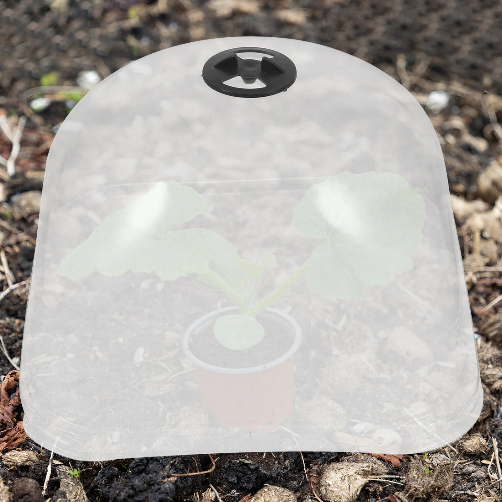 

6Pcs Garden Cloche Humidity Dome Plastic Plant Cover Frost Protection Clear Adjustable Vent Garden Dome for Outdoor Plants