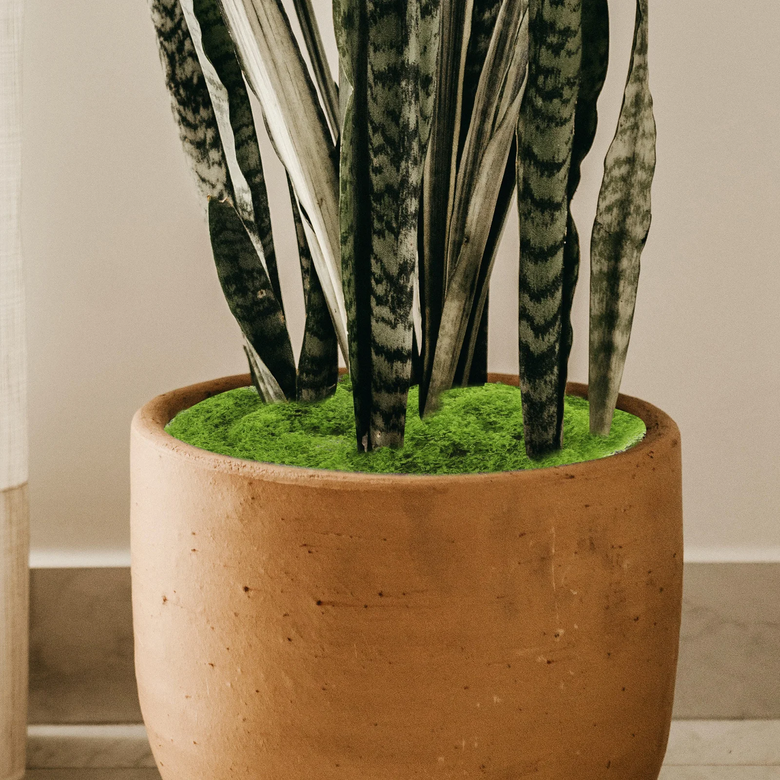 

1 Bag False Lifelike Faux Artificial Moss Indoor Plant For Indoor Fake For Diy Plant Planter Bonsai Diy Crafts Home Garden