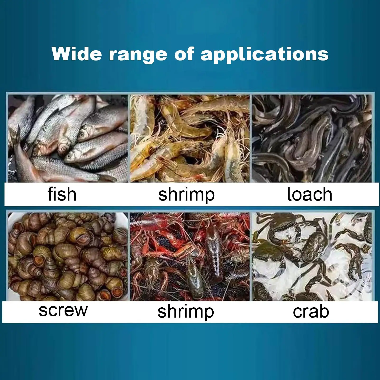 Cesta de Pesca para Captura de Peces