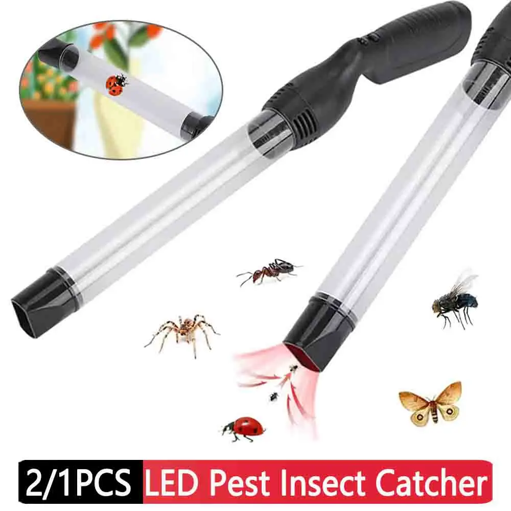 Ergonomic Handheld Bug Vacuum: The Real Solution for Stink Bug Infestations?