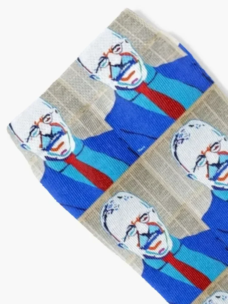 Teddy Roosevelt Socks hiphop summer Novelties winter gifts Designer Man Socks Women's