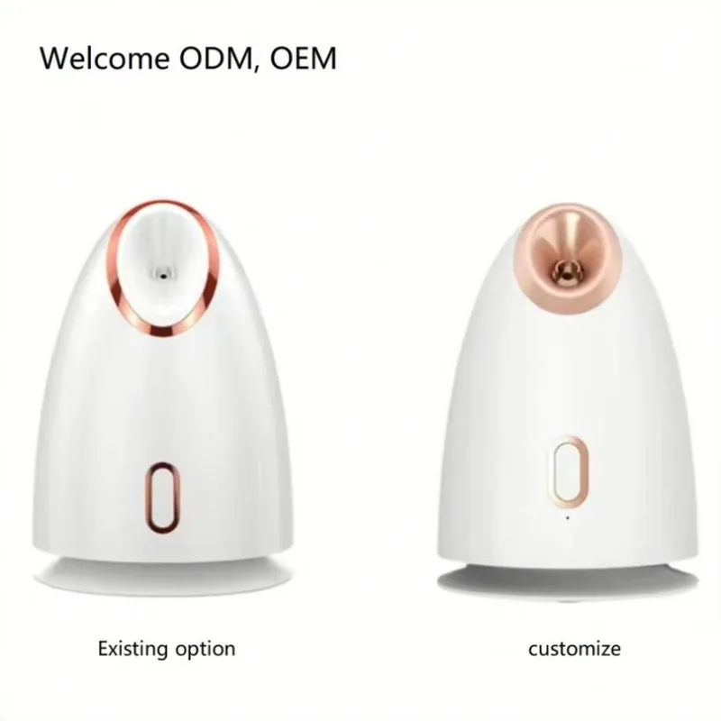 High-end Design Ionic Wholesale Mini Face Steamer Custom Portable Facial Steamer Electric Nano Facial Steamer