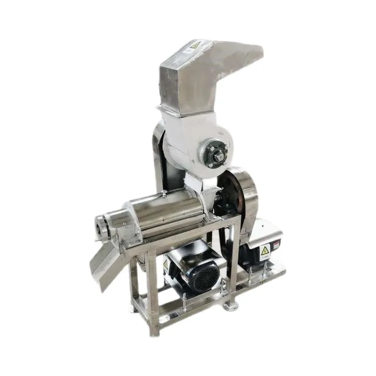 

Industrial commercial, fruit and vegetable apple juicer, large juicer