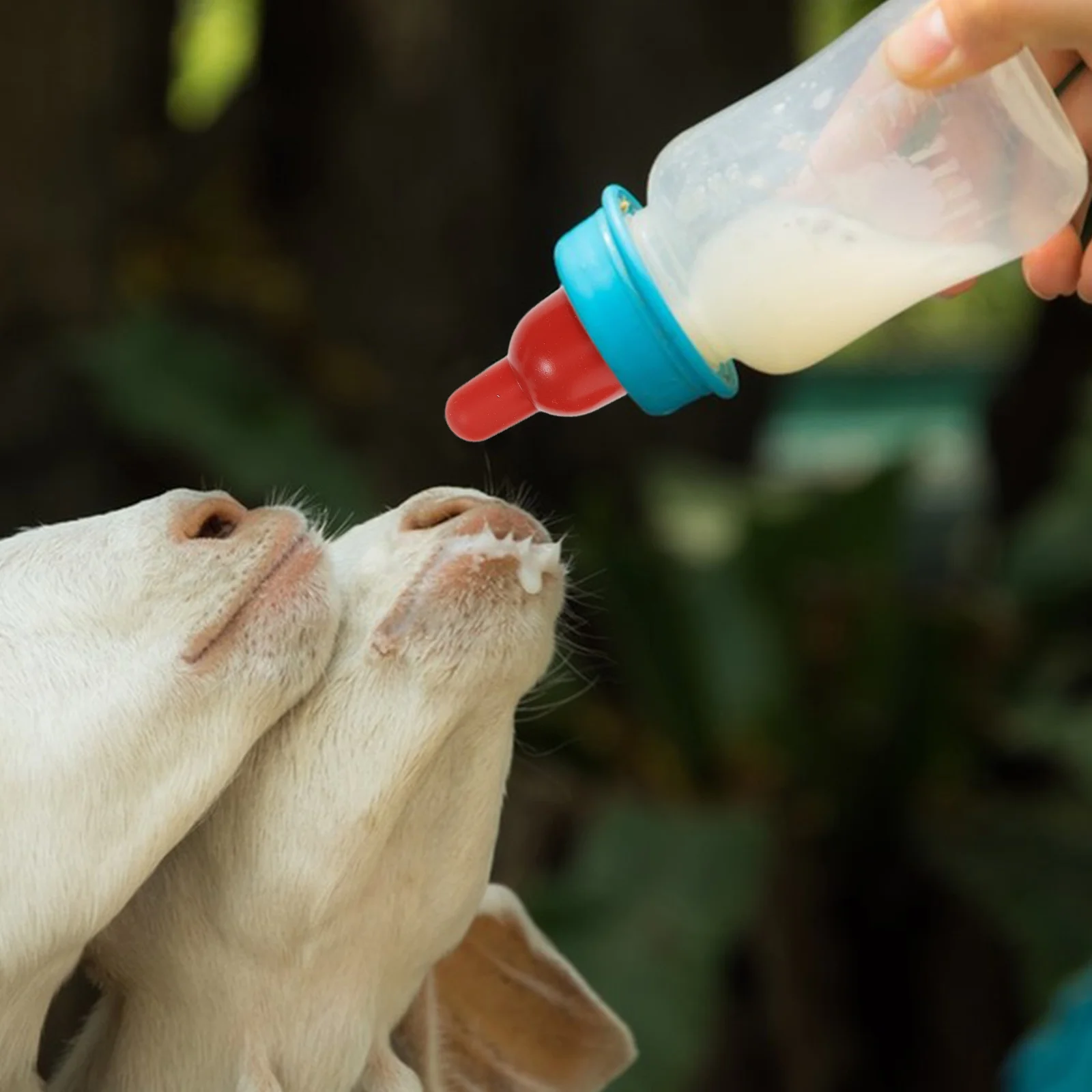 

6Pcs Soft Rubber Nipples Replacement Nipple Goat Bottle Nipple for Nursing Lambs and Goats Small Animal Milk Feeder