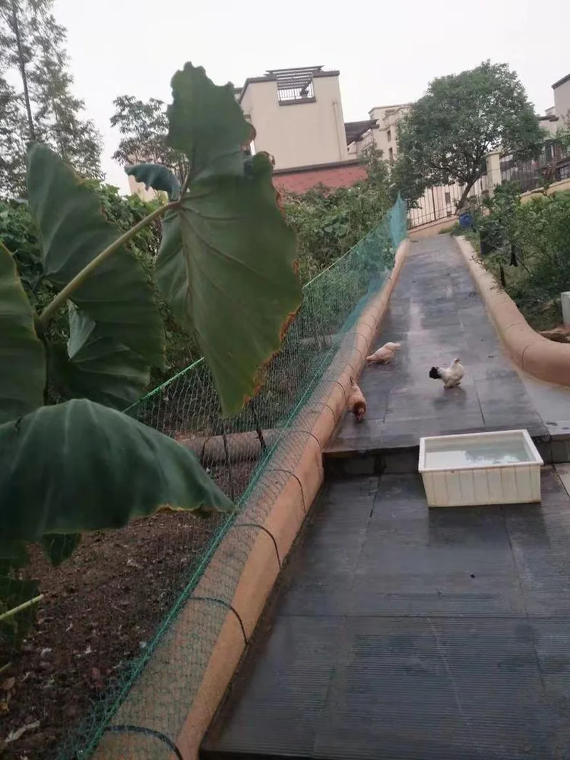 Robustes Anti-Vogel-Netz für den Garten, Hirsch, Zaunnetz, Gartennetz und Pflanzen, schützendes Zaunnetz für Anti-Vogel-Hirsch, Katzen und Hunde – Detail 13