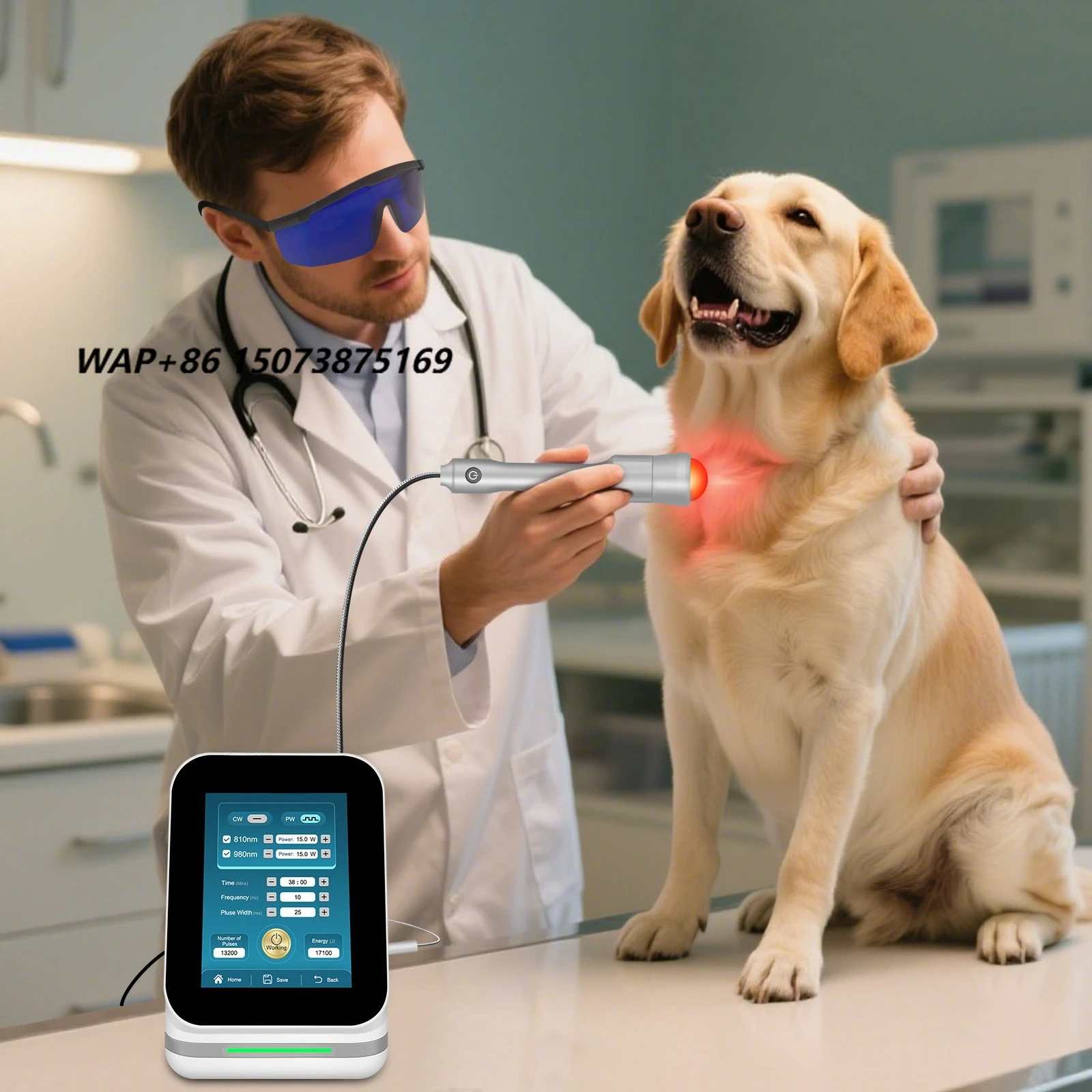 ZJKZ Professional Veterinary Infrared Phototherapy Equipment 10W-45W Class IV Cold  Therapy for Dog Horse Pain Relief