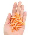 XZ002 10pcs ORANGE