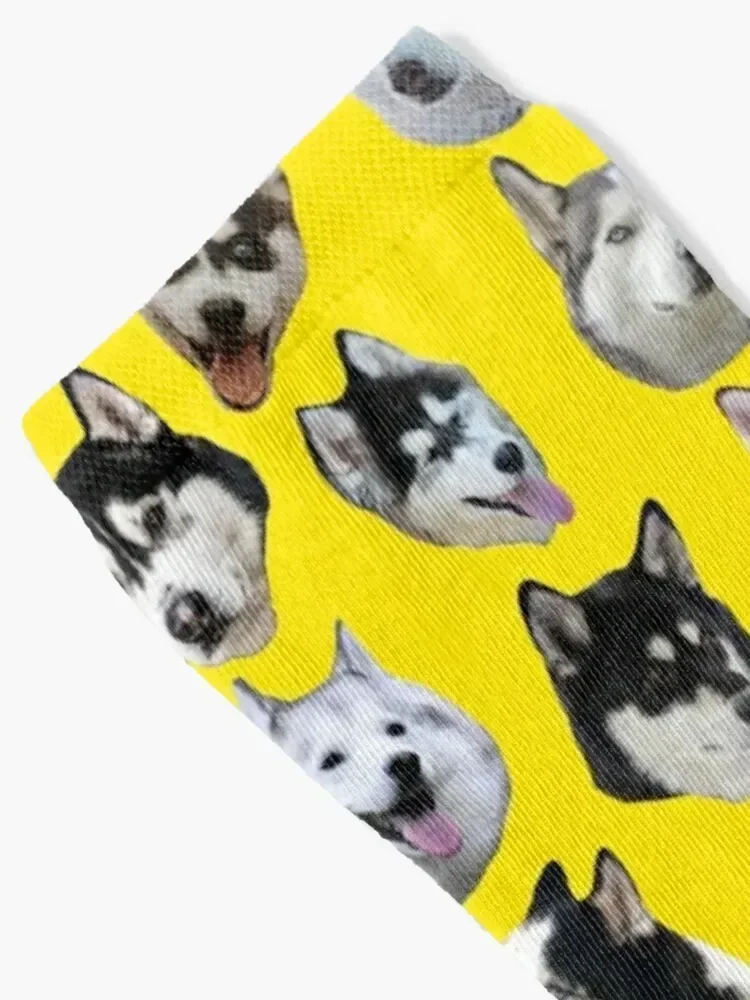 Huskies Socks summer Stockings Wholesale Socks Woman Men's