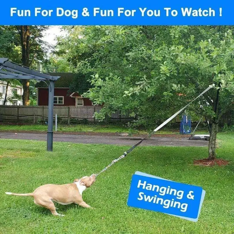 Pet Dog Tug-of-war Leash, Multifunctional Chewing Leash Toy, Teeth Chew, Elastic Pull Leash Ball