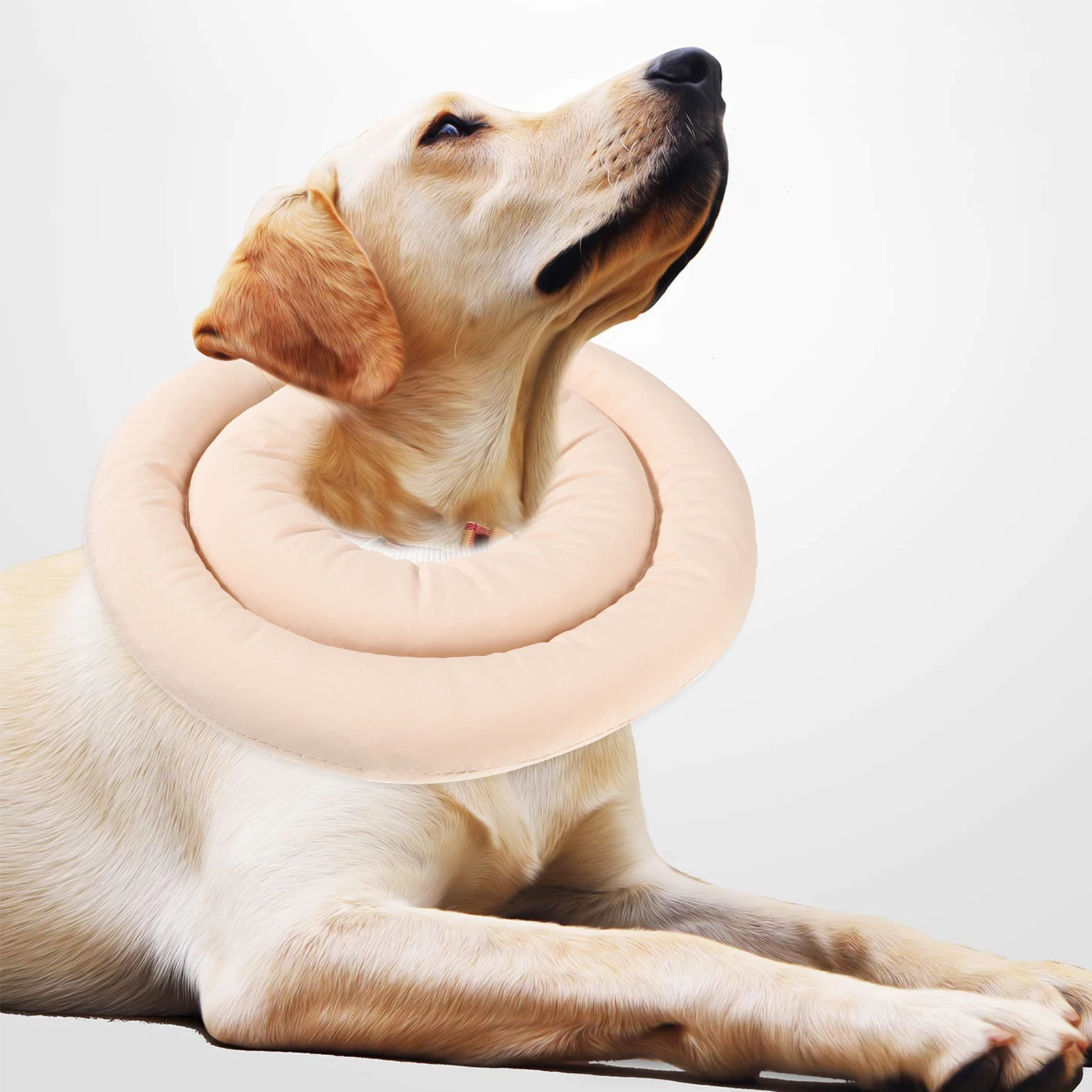 

Tarcoal Collar Neck for Cats Safety Soft Cone Collars Adjustable Recovery Small Simple