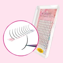 Abonnie A/M Shape Spikes Lashes Premium Individual Eyelashes All Size D curl Premade Volume Lashes