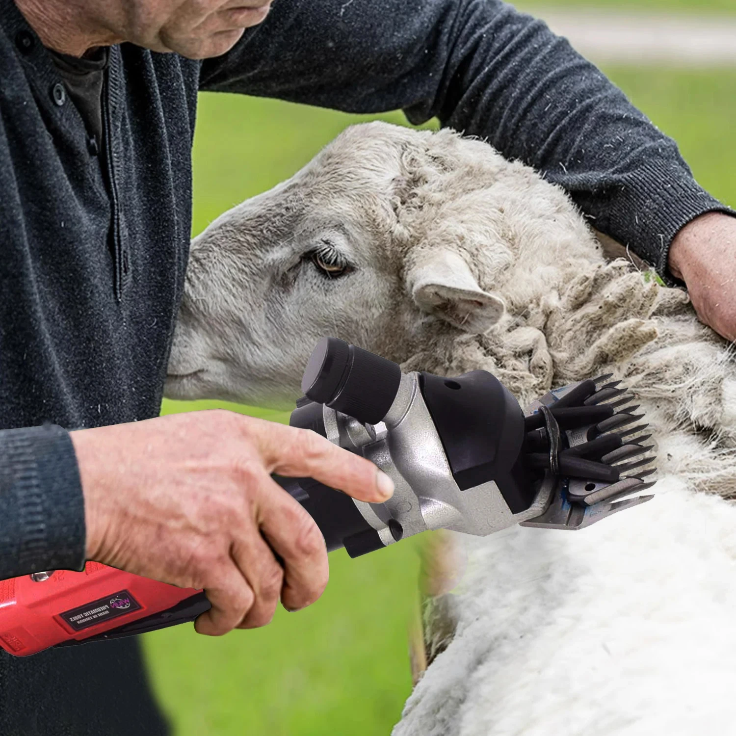 

Professional Sheep Goat Shearing Scissors Heavy Duty Safety Animal Wool Cutting Blade Tool for Livestock Ranch Farm