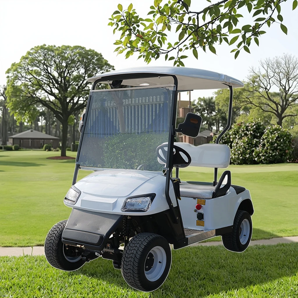 

2-Seater Classic Electric Golf Cart Club Car With 48V60V72V Customizable Lithium/Lead Acid Batteries