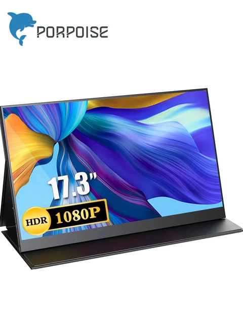 17.3 Inch Portable Monitor Mobile LCD Screen 1920 x 1080 Full HD IPS  External Second Display With HDMI Type-C Connection