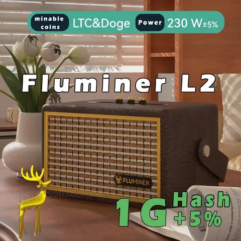 Nouveau Fluminer L2 1Gh/s 230W Dogecoin Miner Algoritme Scrypt BEL LTC Doge Miner Utilisation domestique Doge Mining Mineur Litecoin à faible bruit