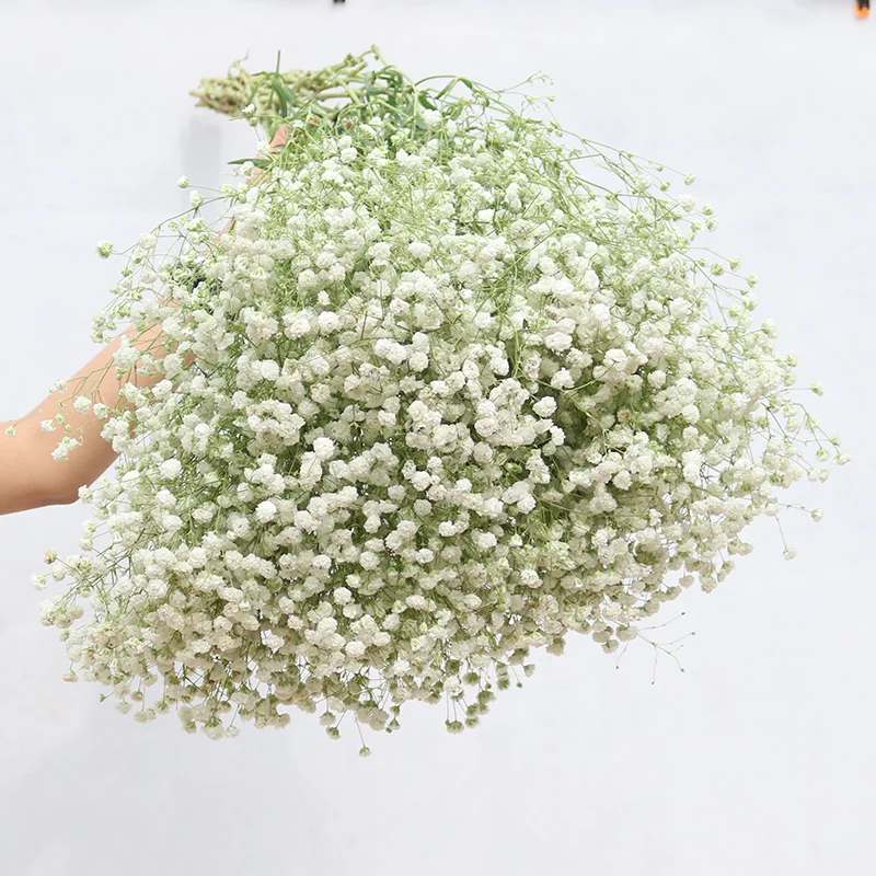 

80g/lot White Gypsophila Dried Flower Bouquet Flowers Real Flower Home Furnishing Living Room Decoration