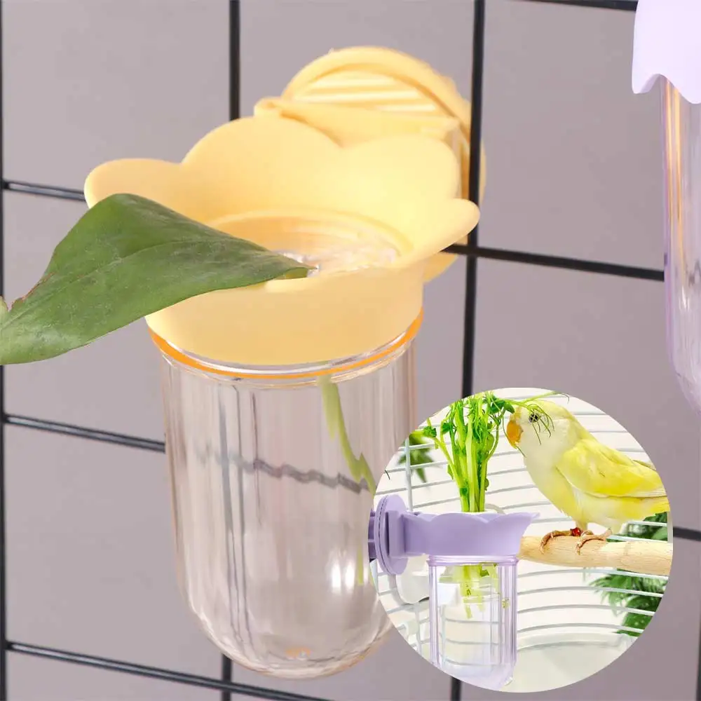 Transparent Parrot Flower Hydroponic Bottle Eco-Friendly Reu