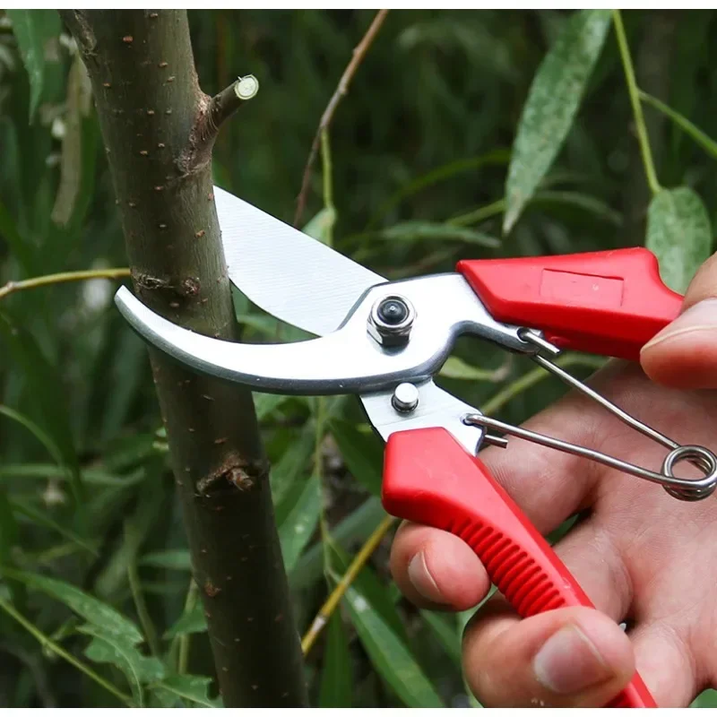 

Bonsai Gardening Shears, Gardening Pruners, Grape Picking, Household Potted Plants, Pruning Tools, Weeds, Gardening Tools