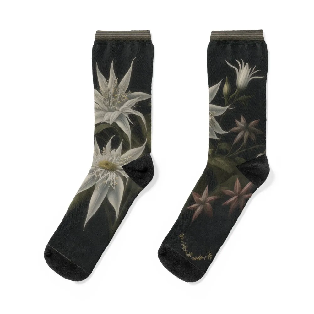 

Edelweiss Vintage Illustration Socks sport FASHION custom essential Socks Girl Men's