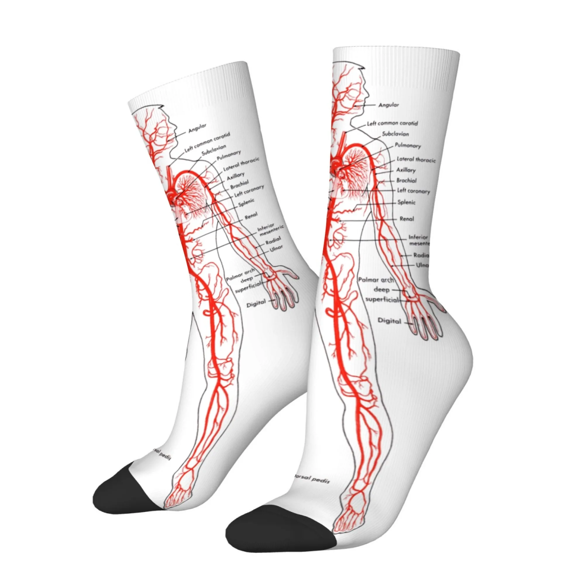 Blood Vessels Bones Body Men's Print Socks Soft Breathable Comfortable Socks Uniquely Styled Street-style Happy Hiphop Socks