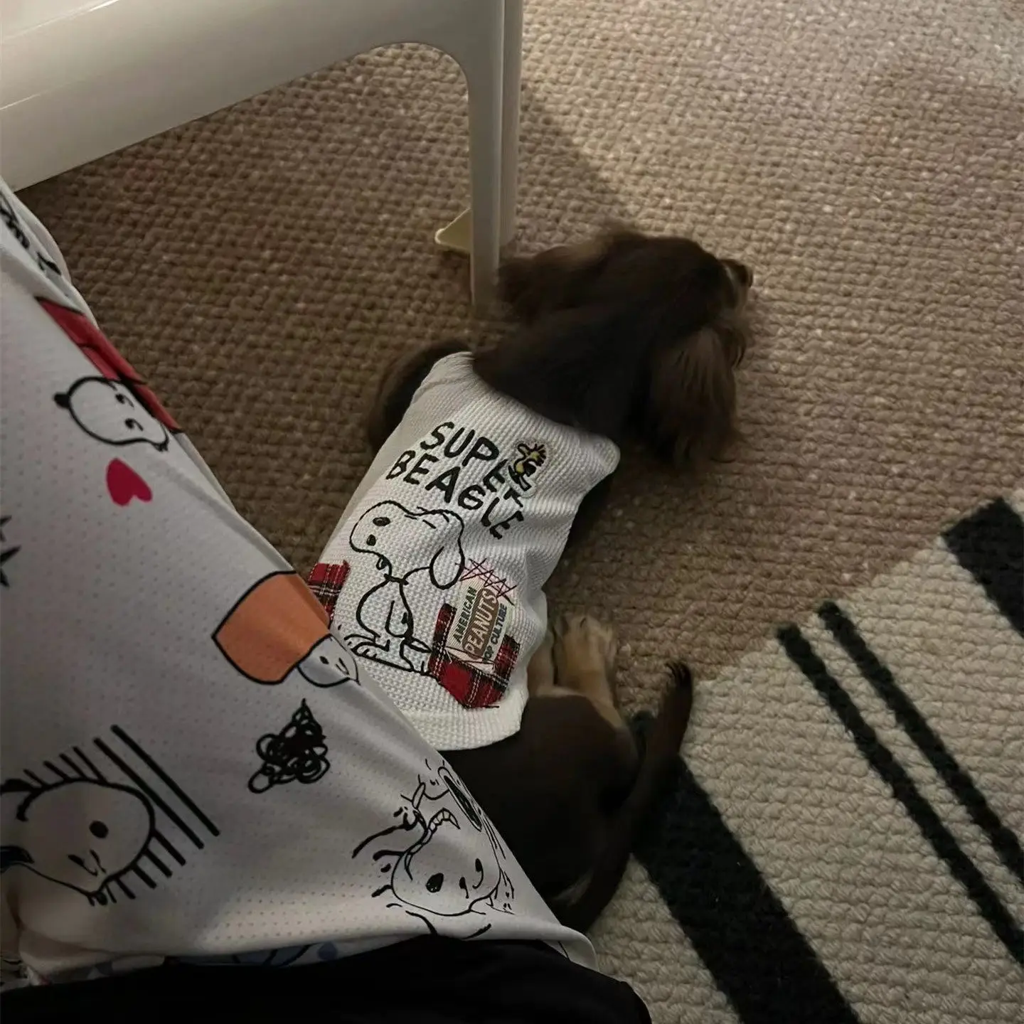 Jersey a rayas para perro salchicha Dachshund – Chaleco verano suave - imagen 5
