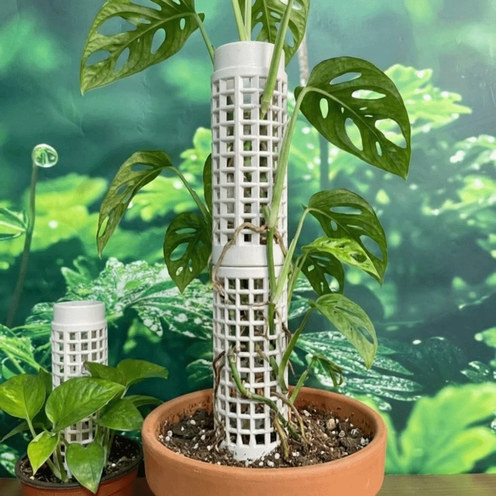 6PCS Garden Supports Plastic Moss Pole Sturdy Fixed Bracket Vine Climbing Column Interlocking Moss Stick Greenhouse