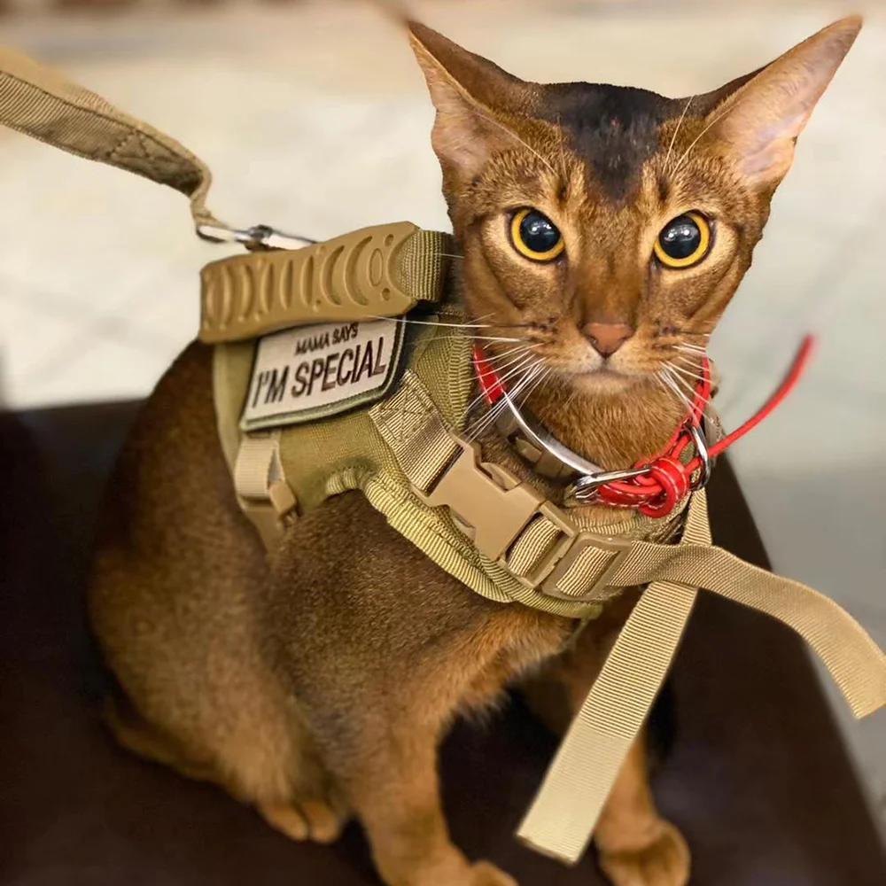 Cat Harness Leash Tactical Vest Small Dog Kitten Military Harness  Escape Proof Full Body Breathable For Puppy Walking Training