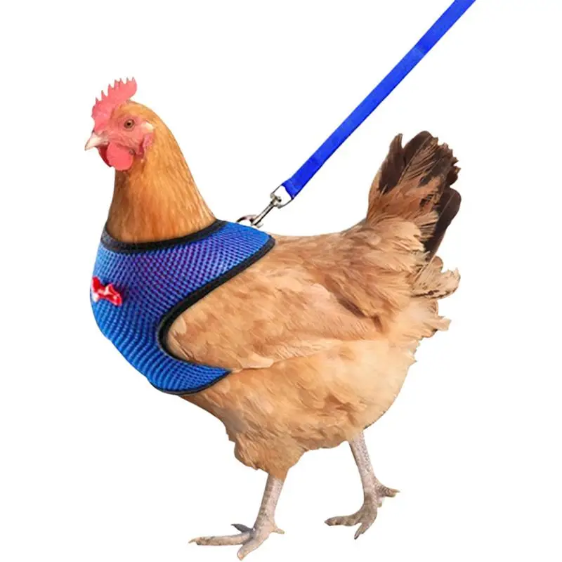 Arnés de pollo ajustable y transpirable, cinturón cómodo para gallina, suministros para mascotas, cuerda de entrenamiento de 3,6 pies para gallinas y patos