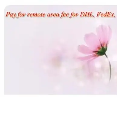 

Additional shipping and remote fee 2025
