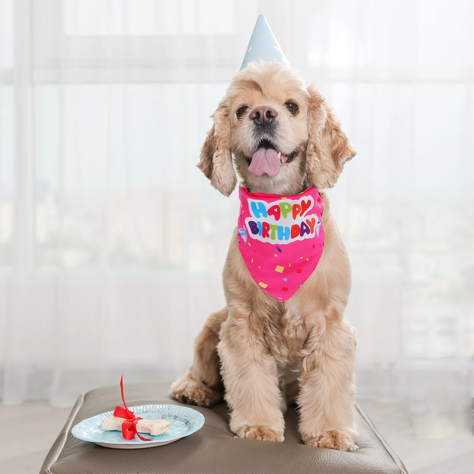 

2Pcs Dog Triangle Scarf Breathable Durable Pet Saliva Towel Unique Pattern Design Birthday Dog Bibs Stylish Comfortable