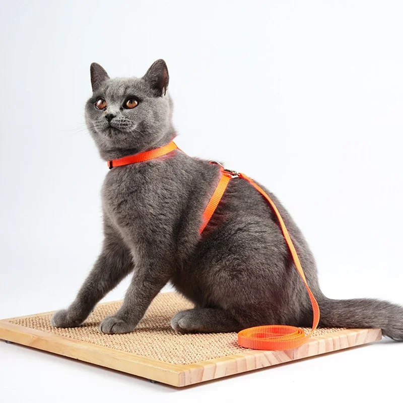 Adjustable Pet Cat Collar For Cats Cozy Nylon Rabbit Kitten Kedi Harness Leash Set Dog Cat Accessories Products For Pets gallery 4