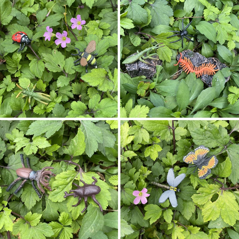 14 sztuk owady zwierzęta Model motyl konik polny pająk biedronka pszczoła figurki figurka zabawki edukacyjne dla dzieci pudełko na prezenty